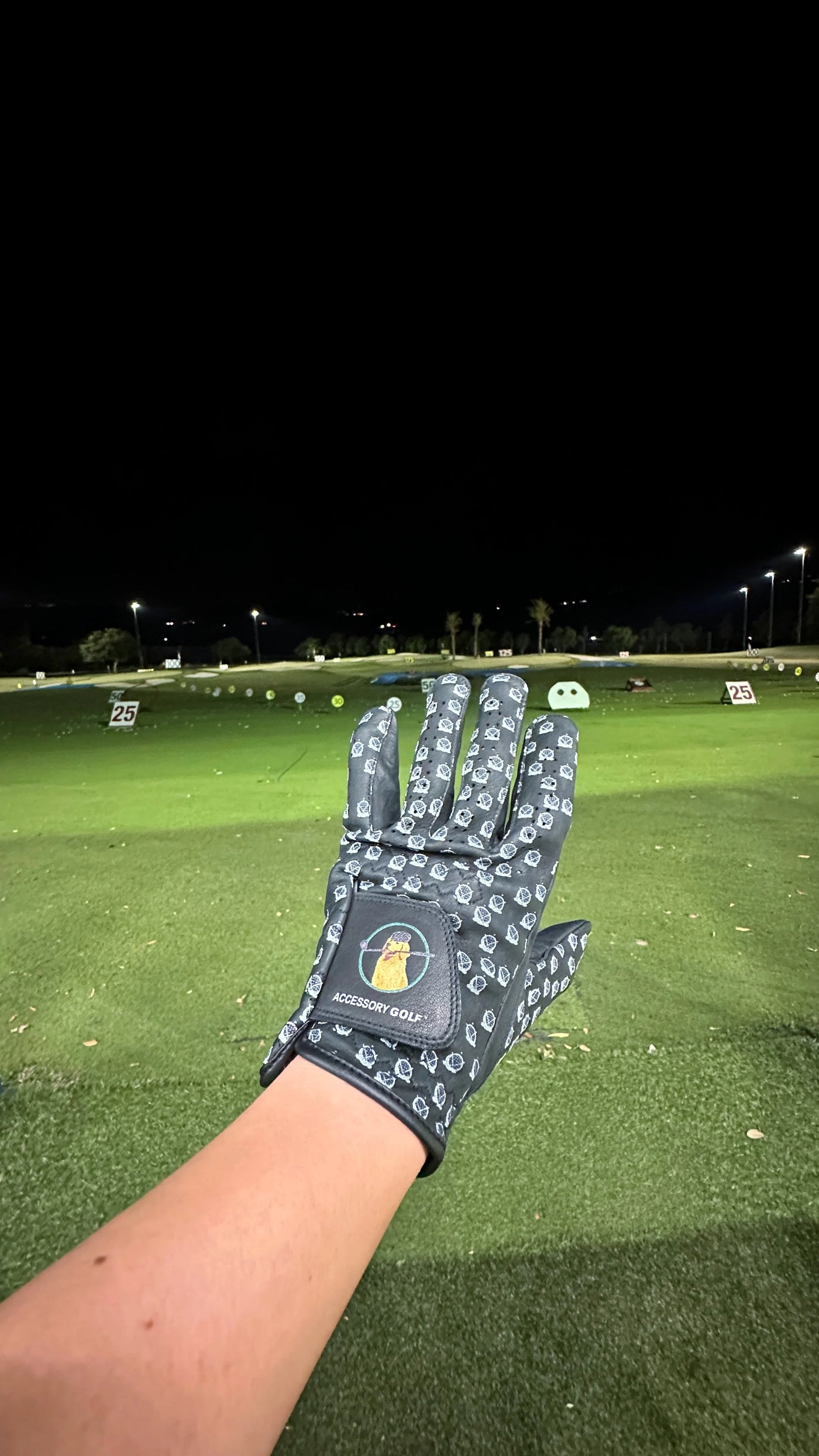 PREORDER - Pro Limited Golf Glove Black