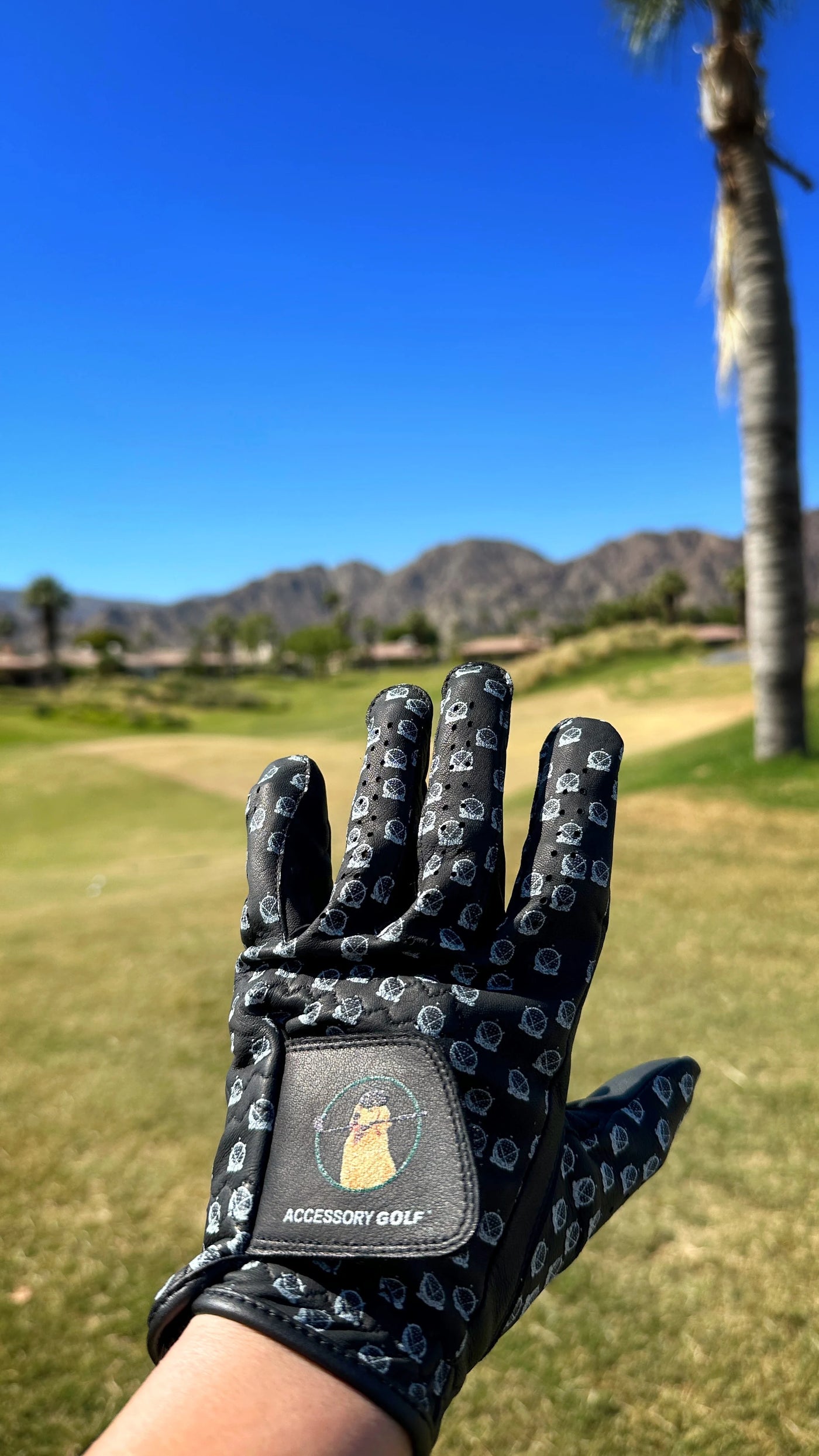 PREORDER - Pro Limited Golf Glove Black